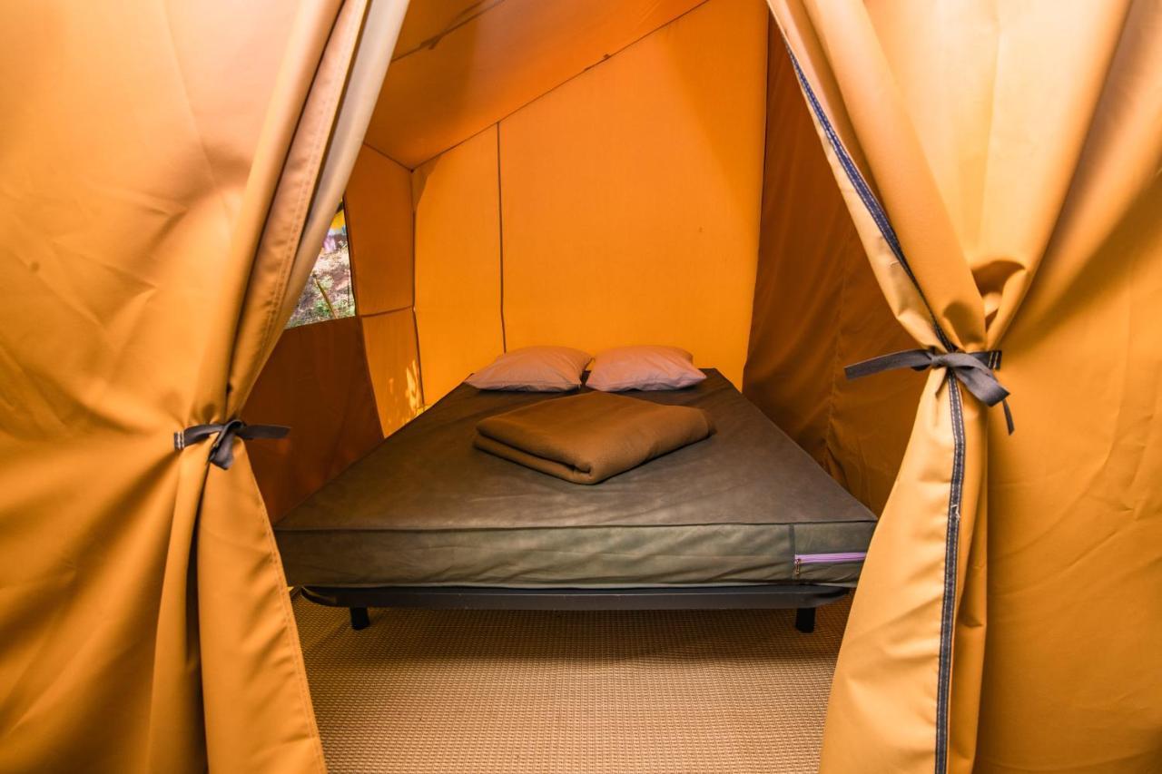 Onlycamp Des Halles